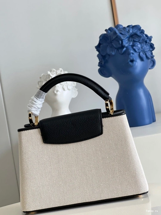 BB VUITTON CAPUCINES LOUIS 0817